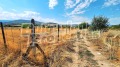 Продава  Парцел област Пазарджик , с. Козарско , 3080 кв.м | 64460548 - изображение [7]