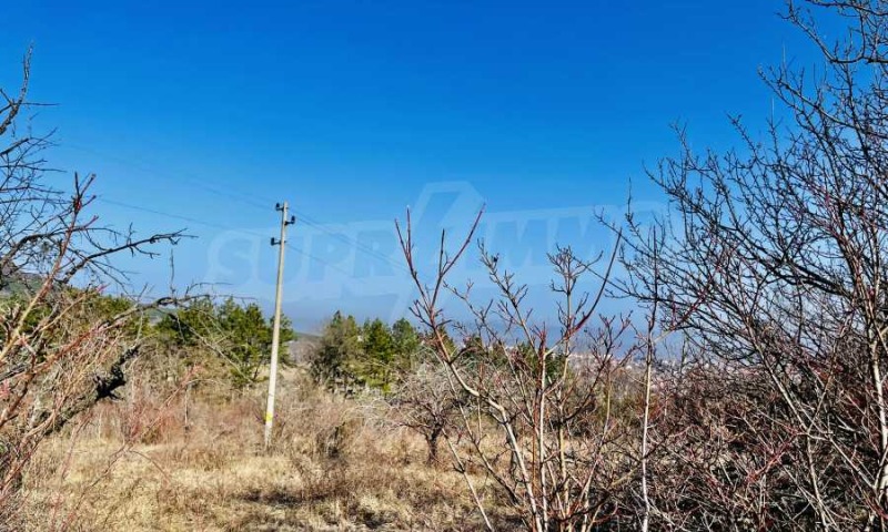 Продава ПАРЦЕЛ в област Велико Търново, гр. Горна Оряховица - 2800 кв.м / 29 000 € » 56 719.07 лв., СУПРИММО ОФИСИ В СТРАНАТА