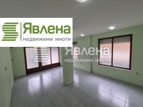 ����� ������� �������,���� �����, �������