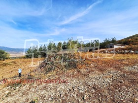 ������� ������ | Imot.bg � ����� ������ 6