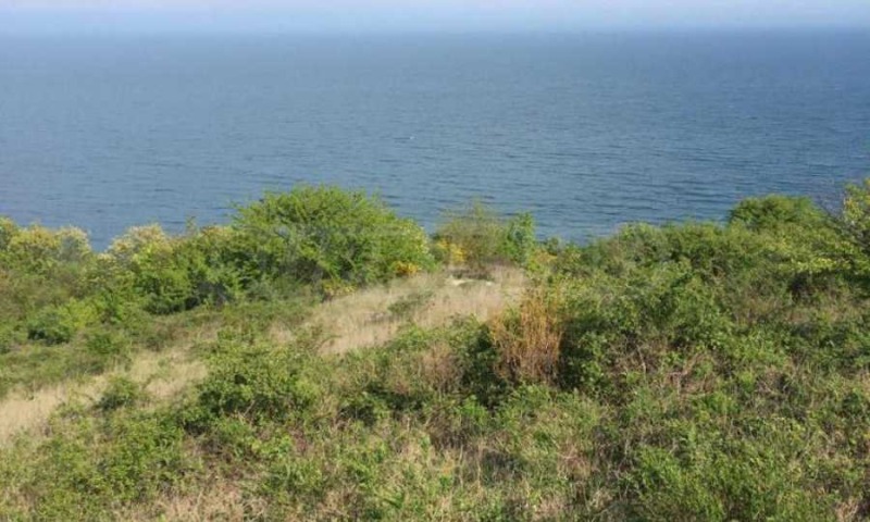 Eladó  Cselekmény régió Várna , Bjala , 897 négyzetméter | 43153439 - kép [3]