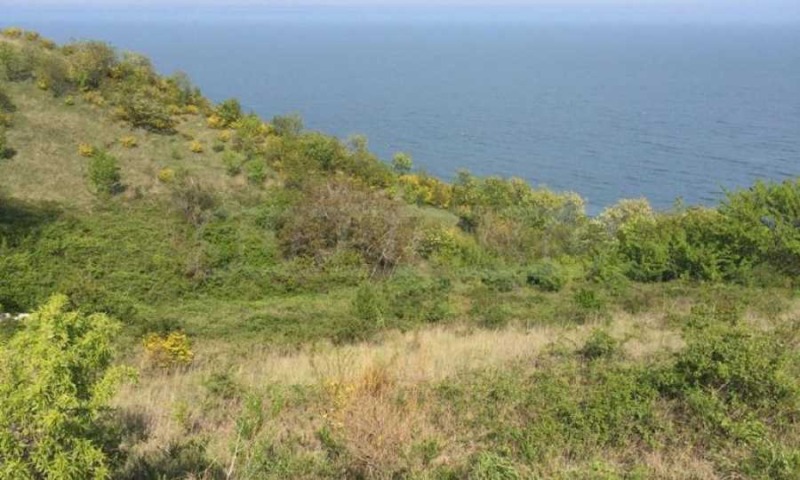 Eladó  Cselekmény régió Várna , Bjala , 897 négyzetméter | 43153439 - kép [2]
