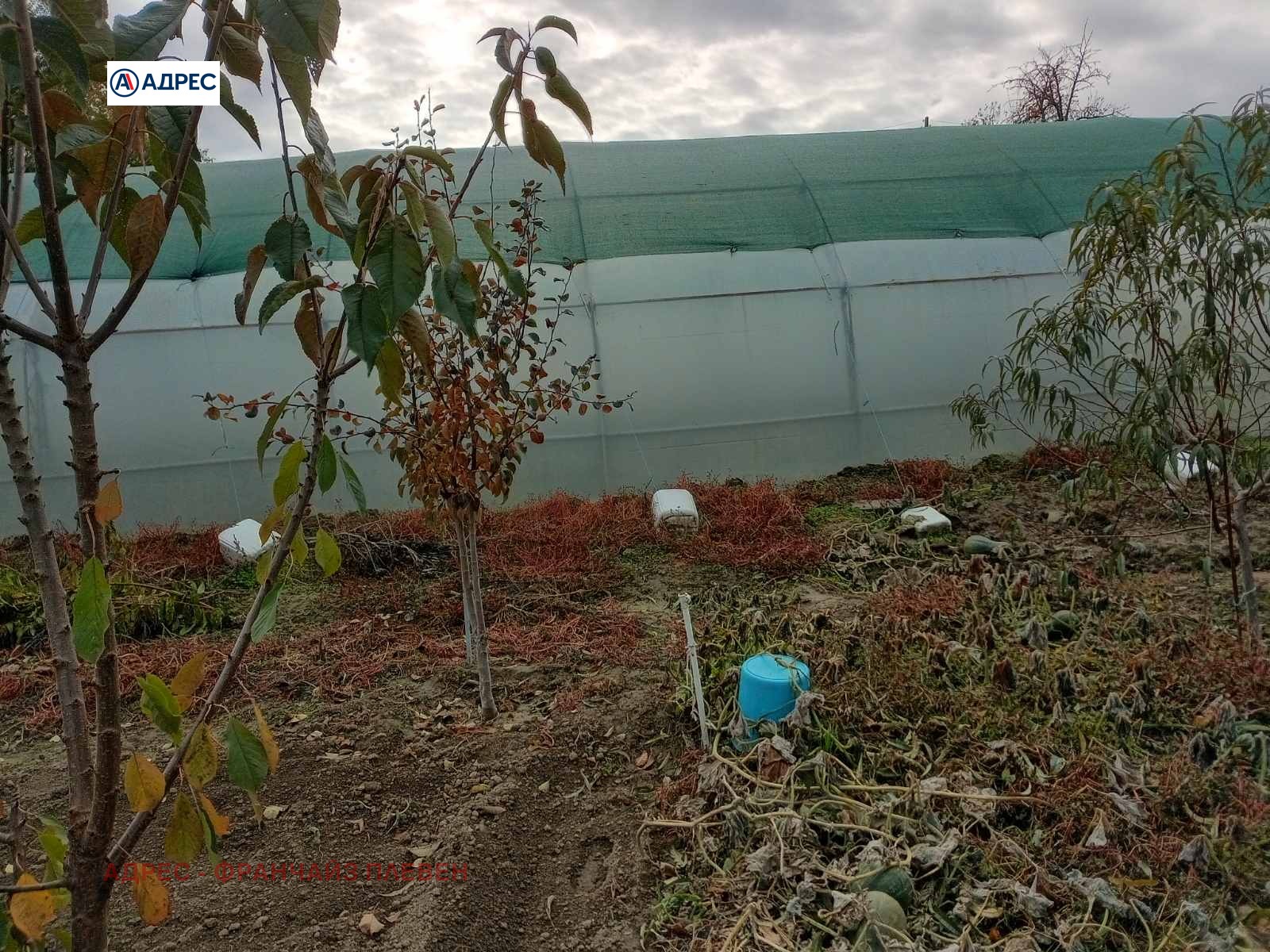 Продава ПАРЦЕЛ, с. Подем, област Плевен, снимка 4 - Парцели - 56679631