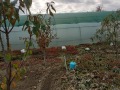 Продава ПАРЦЕЛ, с. Подем, област Плевен, снимка 4