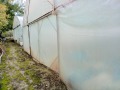 Продава ПАРЦЕЛ, с. Подем, област Плевен, снимка 7