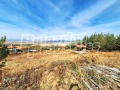 Продава  Парцел област Кюстендил , гр. Сапарева баня , 2666 кв.м | 96437260 - изображение [5]