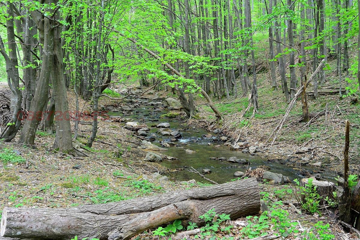 ������� ���������� ���� | Imot.bg � ����������� 10