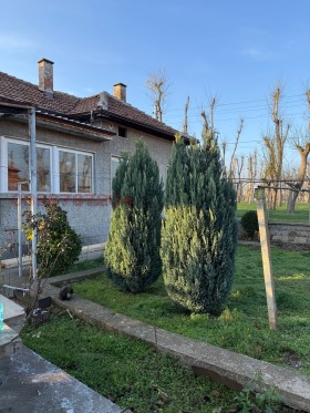 ������� ���� | Imot.bg � ����� ������ 8