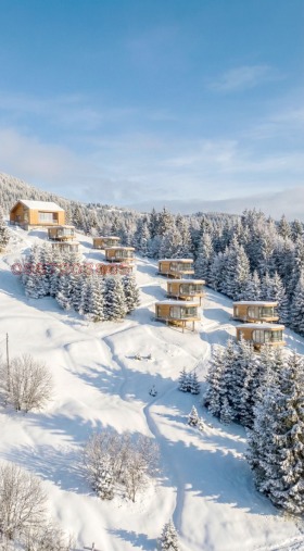 ����� ������� ���������� ����,��. �����, ������ �����