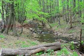 ������� ���������� ���� | Imot.bg � ����� ������ 10