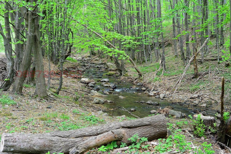 Продава ЗЕМЕДЕЛСКА ЗЕМЯ, гр. Своге, област София област, снимка 9 - Земеделска земя - 53246777