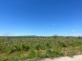 Продава КЪЩА, с. Беловица, област Пловдив, снимка 4