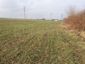 Продава ПАРЦЕЛ, област Варна, с. Езерово • 139900 € • 54603230 — Holmes.bg