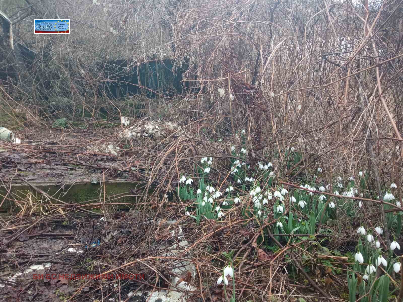 ������� ���� | Imot.bg � ����������� 10