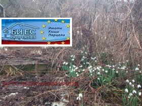 ������� ���� | Imot.bg � ����� ������ 10