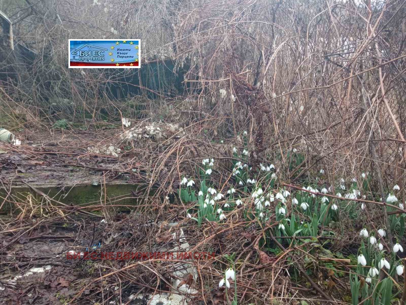 Продава КЪЩА, с. Лопян, област София област, снимка 10 - Къщи - 53421715