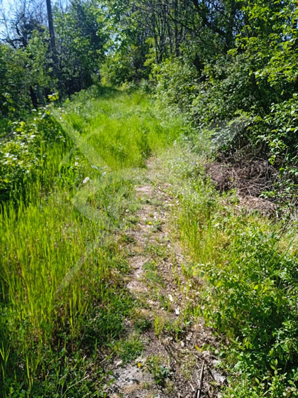 Продава ПАРЦЕЛ, гр. Варна, Възраждане 1