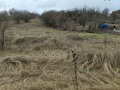 Продава ПАРЦЕЛ, с. Ноевци, област Перник, снимка 2