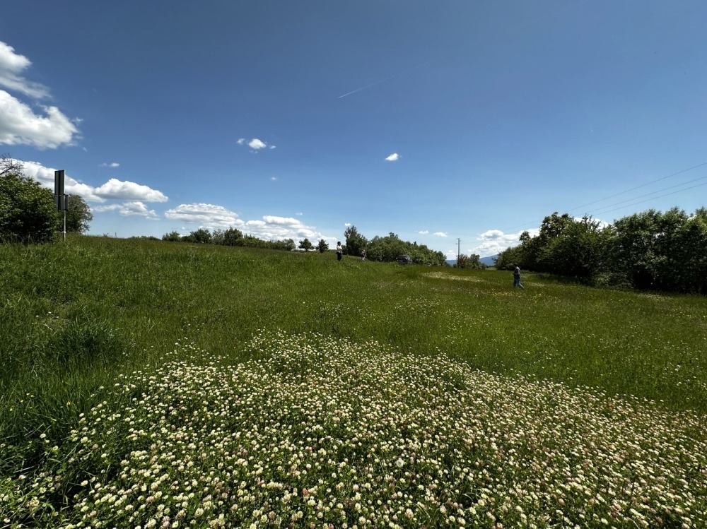 Продава ПАРЦЕЛ | Imot.bg — изображение 12