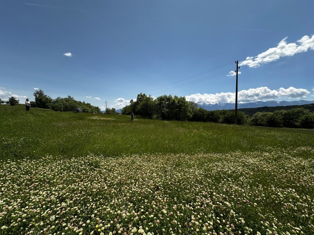 Продава ПАРЦЕЛ | Imot.bg — изображение 11