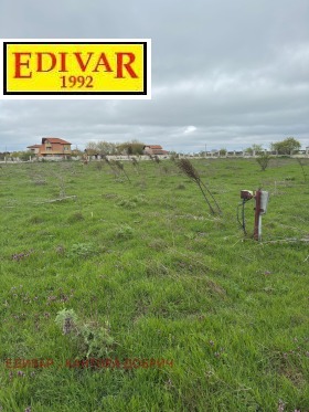 ������ ������� ������