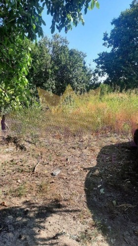 ������� ������ | Imot.bg � ����� ������ 3