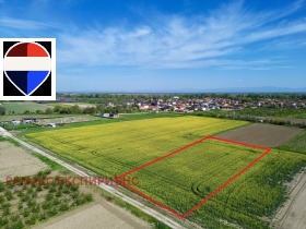 ������ ������� ������