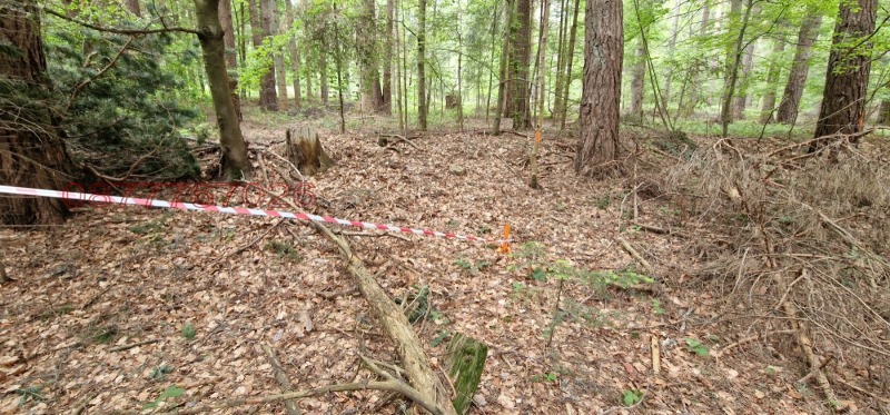 Продава ПАРЦЕЛ, яз. Батак, област Пазарджик, снимка 4 - Парцели - 52784343