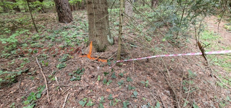 Продава ПАРЦЕЛ, яз. Батак, област Пазарджик, снимка 2 - Парцели - 52784343