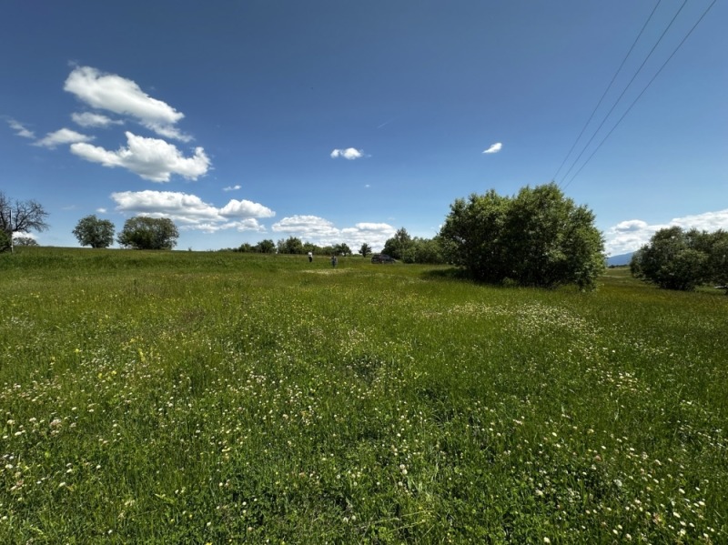 Satılık  Komplo bölge Blagoevgrad , Dobarsko , 1368 metrekare | 66437958 - görüntü [14]