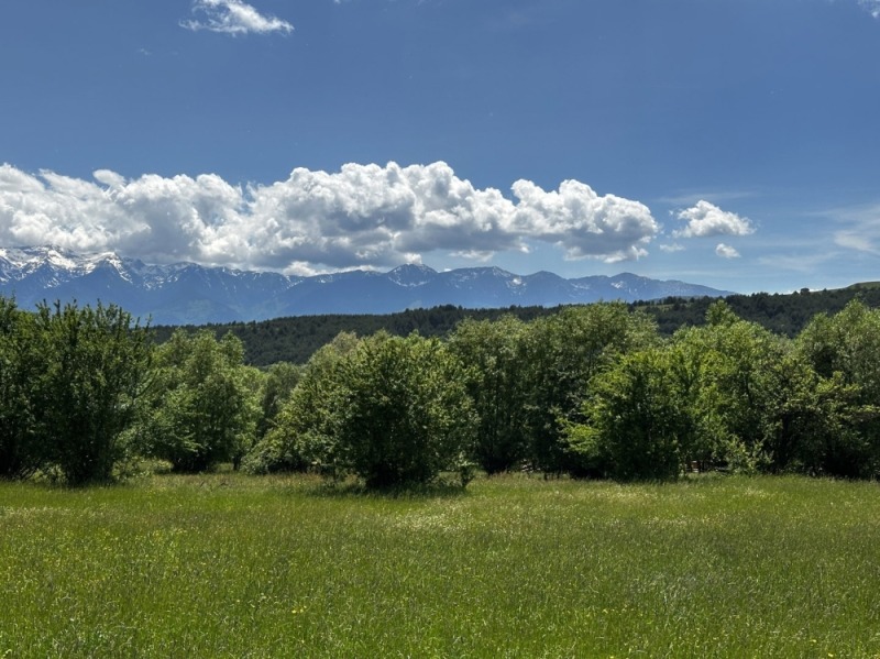 Satılık  Komplo bölge Blagoevgrad , Dobarsko , 1368 metrekare | 66437958 - görüntü [16]