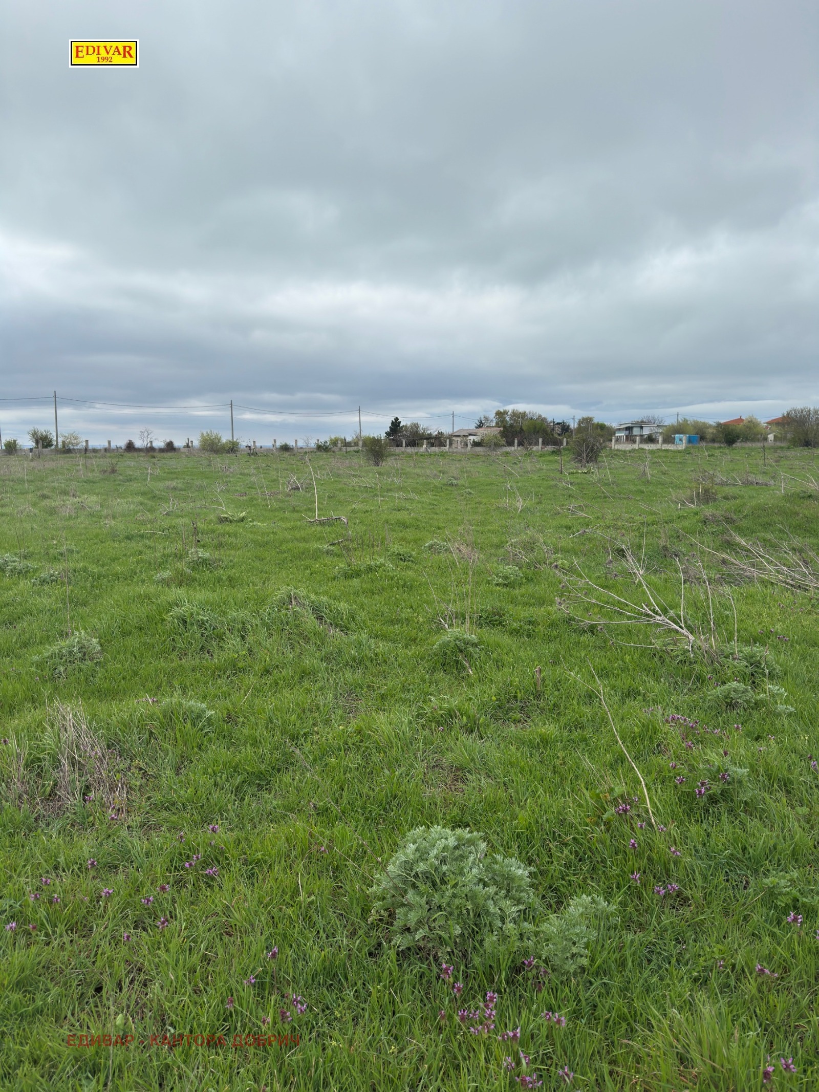 Продава ПАРЦЕЛ, с. Топола, област Добрич, снимка 3 - Парцели - 53083372
