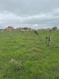 Продава ПАРЦЕЛ, с. Топола, област Добрич, снимка 1