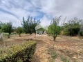 Продава КЪЩА, област Плевен, с. Бреница • 59900 € / 117154.22 лв. • 38542859 5