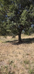 Продава  Къща област Пловдив , с. Иганово , 98 кв.м | 71643191 - изображение [5]