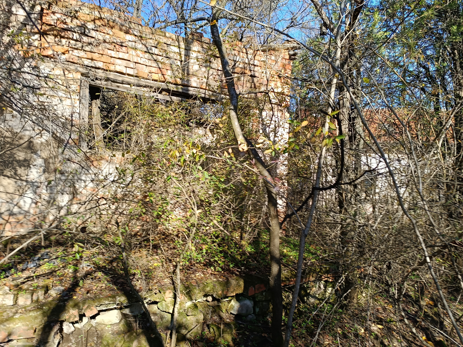 ������� ������ | Imot.bg � ����������� 6