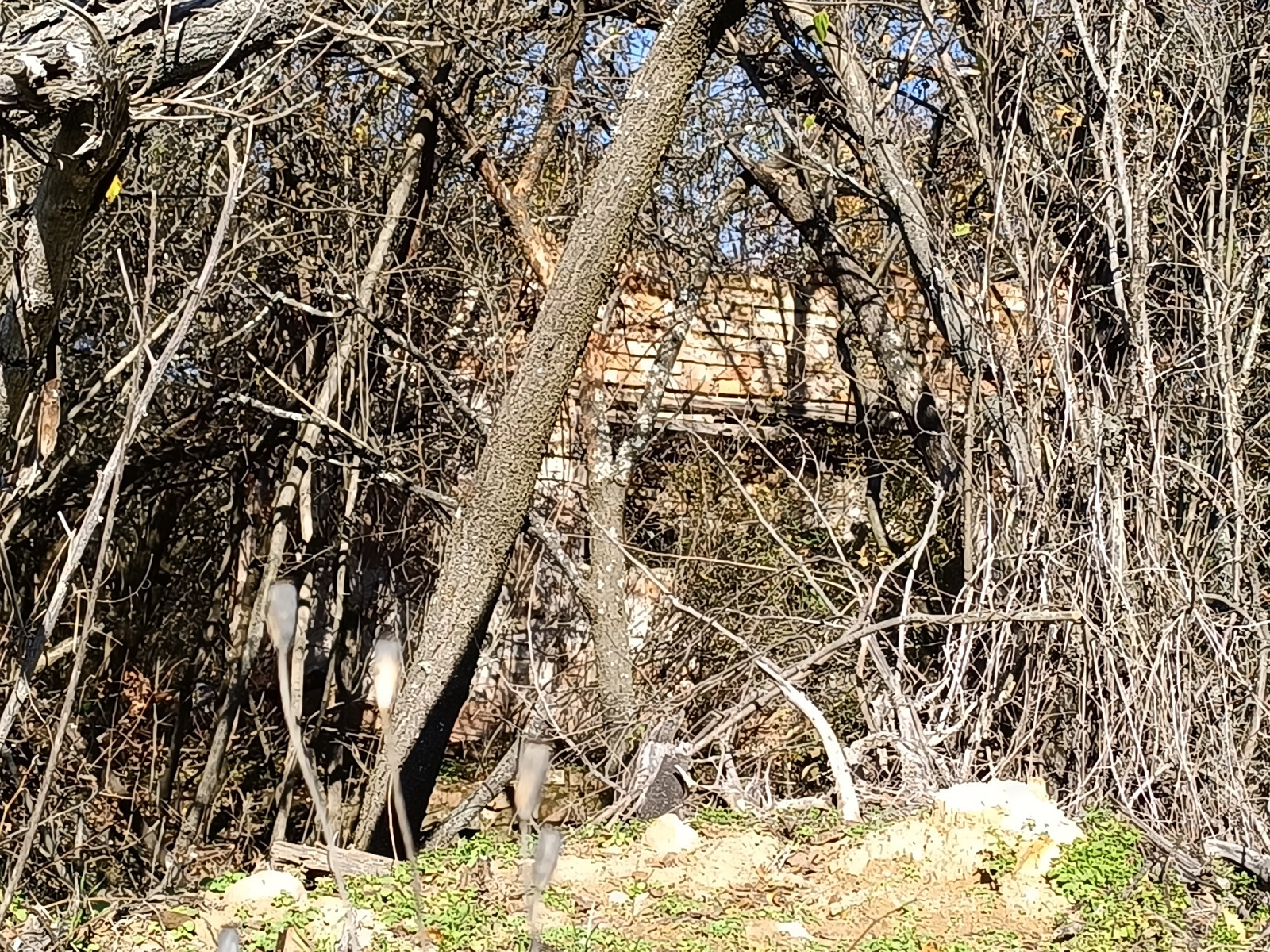 ������� ������ | Imot.bg � ����������� 3