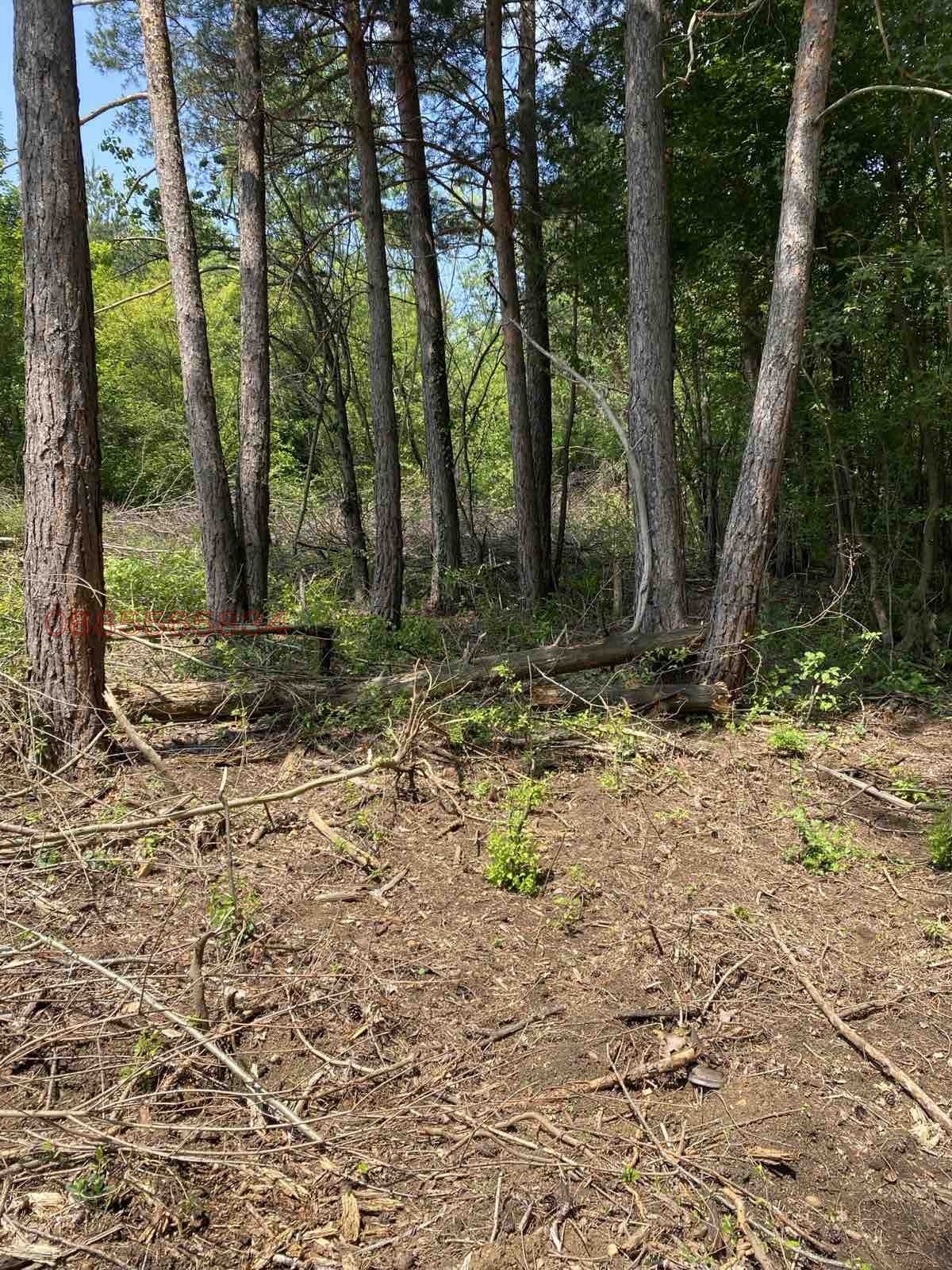 ������� ������ | Imot.bg � ����������� 2