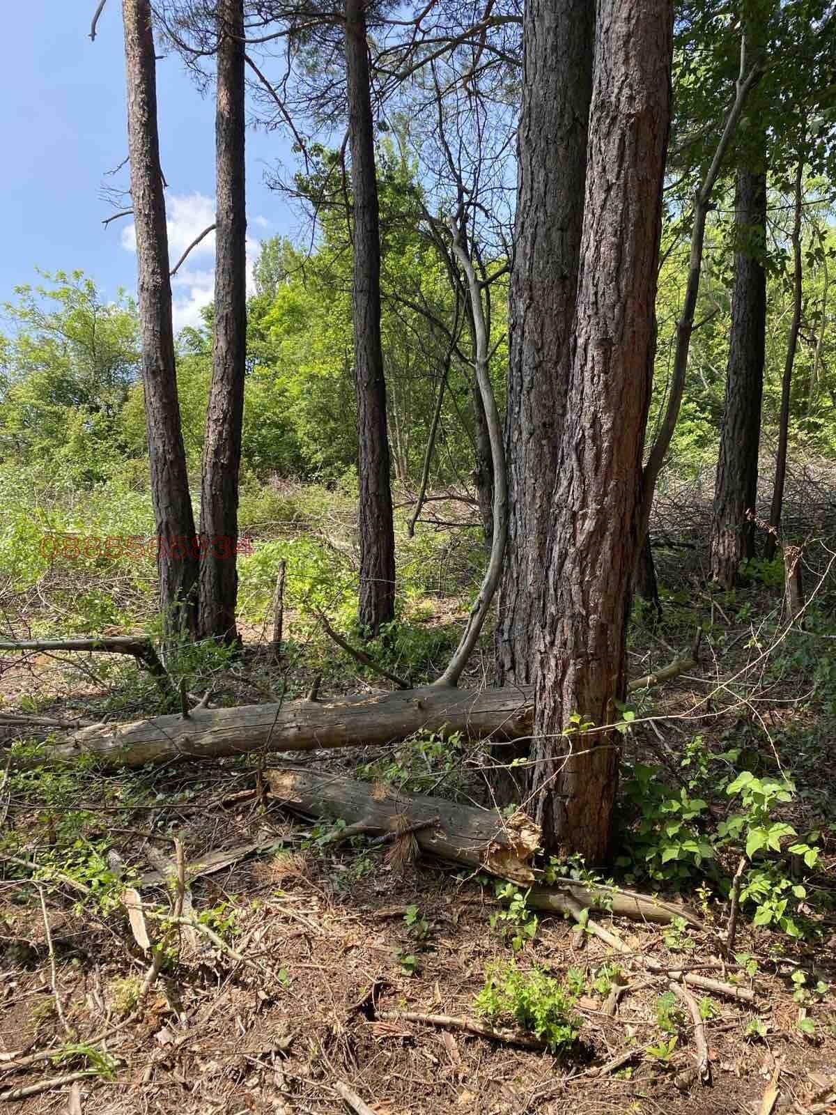 ������� ������ | Imot.bg � ����������� 1