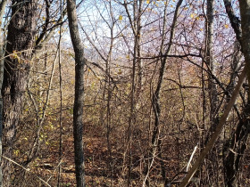 ������� ������ | Imot.bg � ����� ������ 5