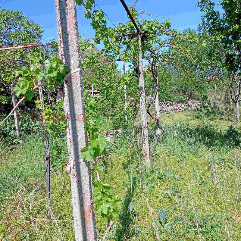 Продава КЪЩА, с. Церово, област Пазарджик