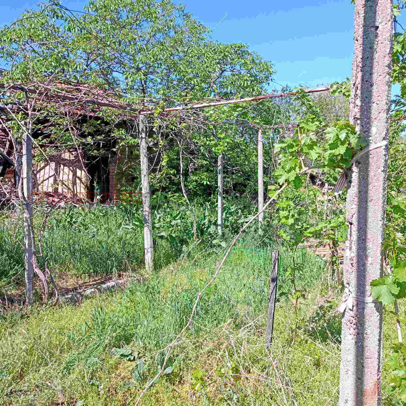 Продава КЪЩА, с. Церово, област Пазарджик, снимка 4 - Къщи - 52838782