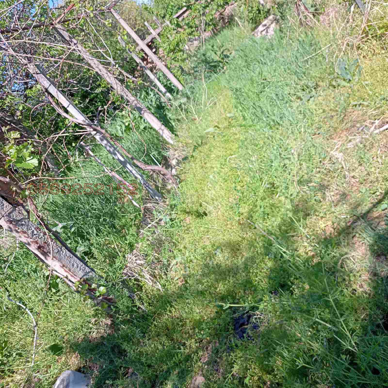 Продава КЪЩА, с. Церово, област Пазарджик, снимка 2 - Къщи - 52838782