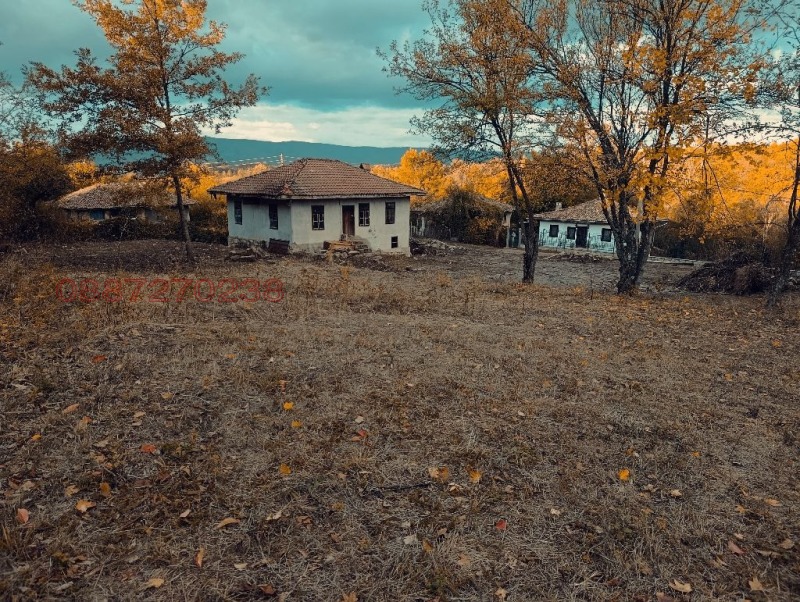 Продава КЪЩА, с. Палици, област Велико Търново