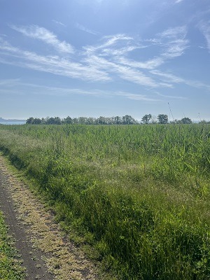 À vendre  Parcelle région Bourgas , Pomorie , 4000 m² | 13066387