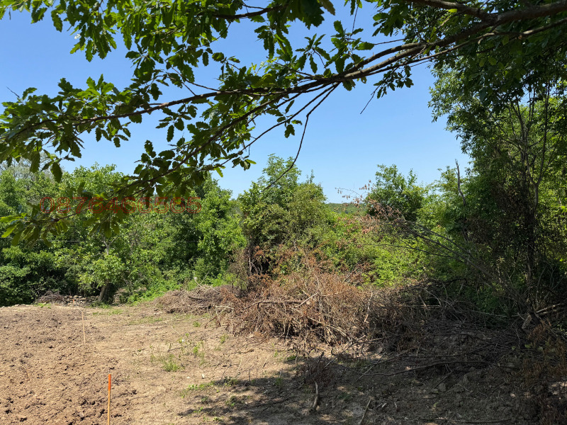 Продава ПАРЦЕЛ, с. Ялово, област Велико Търново, снимка 4 - Парцели - 52782983