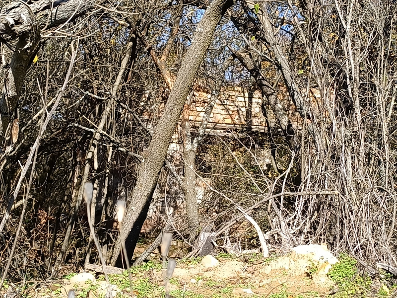 Продава ПАРЦЕЛ, гр. София, гр. Нови Искър, снимка 3 - Парцели - 53042306