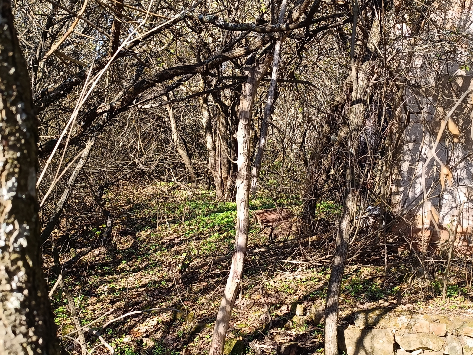 Продава ПАРЦЕЛ, гр. София, гр. Нови Искър, снимка 2 - Парцели - 54095341