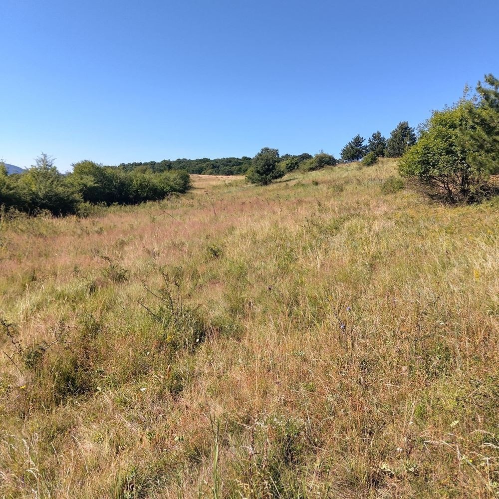 Продава ПАРЦЕЛ, гр. София, гр. Банкя, снимка 2 - Парцели - 53886190