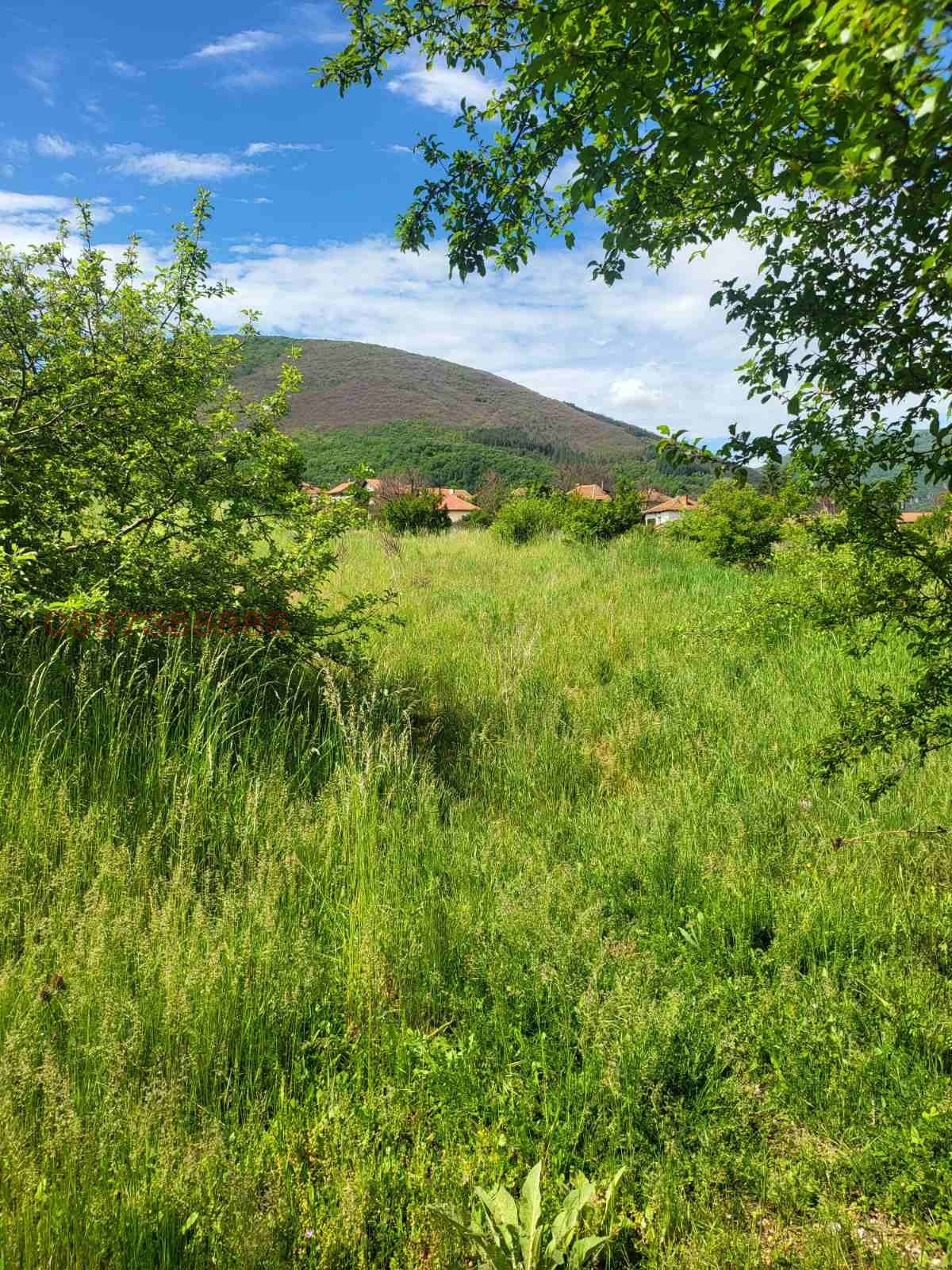 Продава ПАРЦЕЛ, гр. Земен, област Перник, снимка 4 - Парцели - 55394579